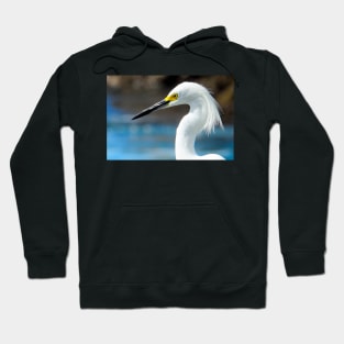 Tête d'oiseau sur la plage au Mexique Hoodie